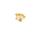 BROQUEL TORTUGA D 10K